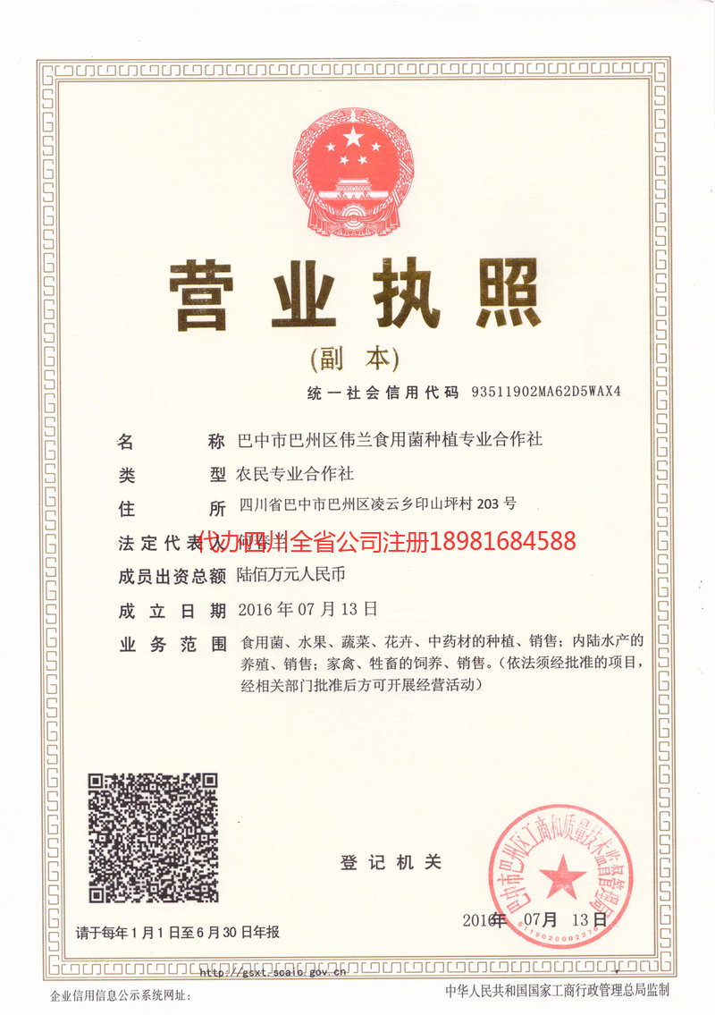 开平开平伟兰食用菌种植专业合作社